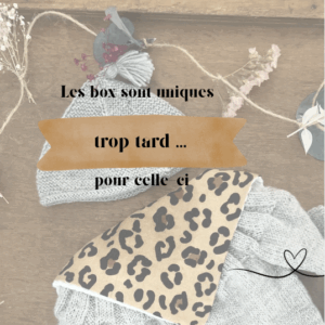 Gris Souris, par Françoise